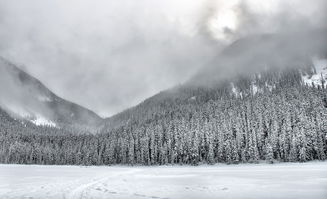 (雪球在雪地上滚动)雪地滚雪球原理解析：雪块的滚动如何积累雪量逐渐增大？
