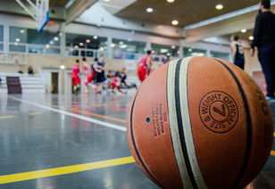 NBA篮球经理：打造一支强大的球队，带领他们走向巅峰的策略管理游戏。