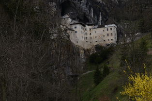 深入分析青云之琉璃谍战迷:抗战题材如何以细腻笔触打造独特的角色群像和谍战逻辑 深入分析青云之琉璃谍战迷:抗战题材如何以细腻笔触打造独特的角色群像和谍战逻辑