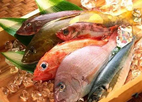 肉鸽鱼吃鱼手机版本官方下载安装-肉鸽鱼吃鱼手机版安卓版下载v.7.21