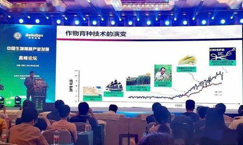 铁索连环使用规则详解：如何正确安全地进行铁索连环活动？