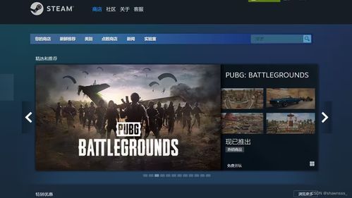 采访《代号闪耀》游戏玩家：探秘捏脸数据背后的秘密技术及玩家心得分享