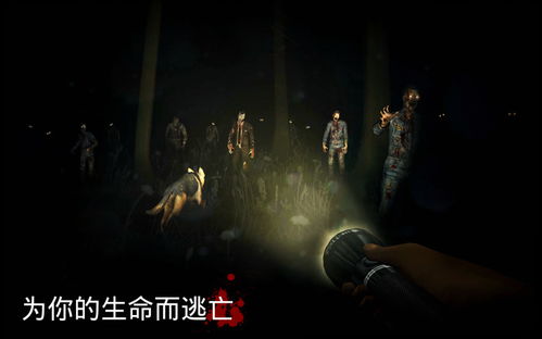 穿越异界，勇闯冒险征程，攻略探秘之旅，挑战未知挑战
