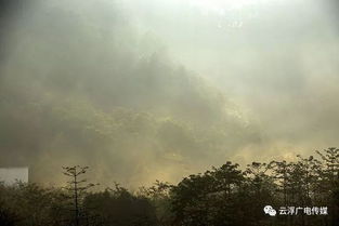 探寻墨心儿：诗意人生中的深情思考与自我成长之旅