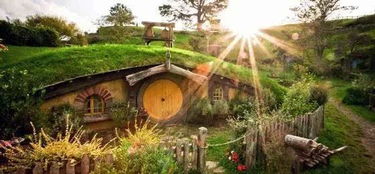 虫虫去旅行：探寻自然之美，畅游未知世界