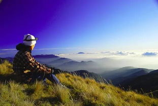 虫虫去旅行：探寻自然之美，畅游未知世界