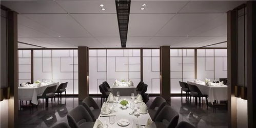 深入解析‘维斯塔的餐桌cv’：探索它如何重塑现代餐厅业务的创新模式