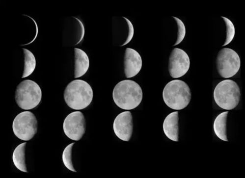 探索十二刻度的月计时手机版：精准记录月相变化与节气的智能工具