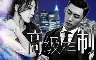 揭秘代号黑龙电视剧：剧情、演员、制作等详情揭秘