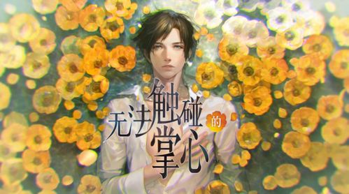 无法触碰的掌心全解锁版免费：畅享无限可能，体验心灵深处的故事与情感