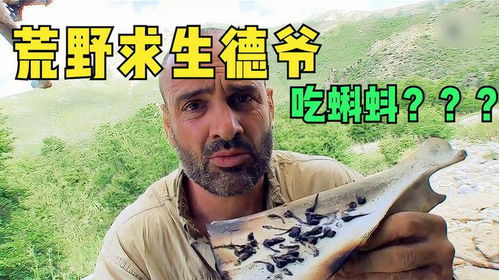 在挨饿荒野中如何打败蛇？