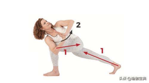 郑多燕核心骨盆健身舞：打造魅力身材与强健核心的完美结合课程