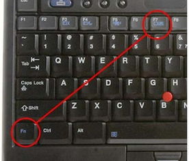 如何快速有效地修复电脑键盘按键错乱问题，恢复正常输入功能的方法详解