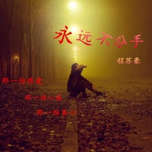 再见永远不见大结局：离别的交汇，永恒的告别在眼前