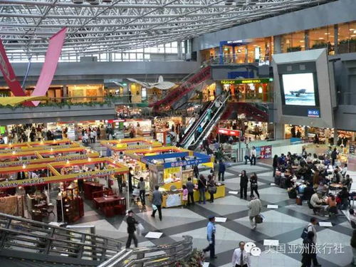 开彩票店最建议去的三个地方：人流密集商业街、购物中心、游乐场。