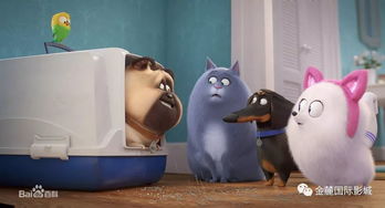 揭秘爱宠大机密:角色介绍,探寻每个角色背后的故事和秘密 揭秘爱宠大机密:角色介绍,探寻每个角色背后的故事和秘密