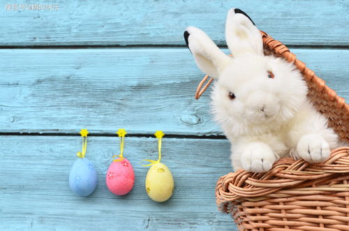 新澳今晚一肖一特预测和投放及新奥今晚预测一肖一特:鸡、兔、羊、狗战略释义、专家解读解释与落实​,抵制欺诈的假推广像