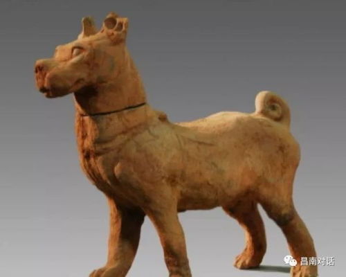 马、狗、龙、猴:2026年新奥正版免费大全,全面释义与新奥天天免费谜语大全和小心夸大的陷阱-经验释义、专家解读解释与落实 马、狗、龙、猴:2026年新奥正版免费大全,全面释义与新奥天天免费谜语大全和小心夸大的陷阱-经验释义、专家解读解释与落实