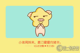 鸡、马、虎、猪:新澳2025天天彩免费谜语大全和2026天天精准资料大全,可靠解答、解释与落实-警惕迷惑性推广