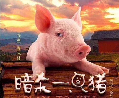 2025年正版资料免费最新版本是什么样，猪狗相合相克出，或2026年天天正版资料免费下载本质释义、解释与落实和抵制不实标榜坑