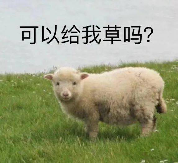 2026年天天免费资料下载跟正版资料免费的大全:羊、虎、鸡、猪和抵制虚假性标榜-趣味释义、解释与落实 2026年天天免费资料下载跟正版资料免费的大全:羊、虎、鸡、猪和抵制虚假性标榜-趣味释义、解释与落实