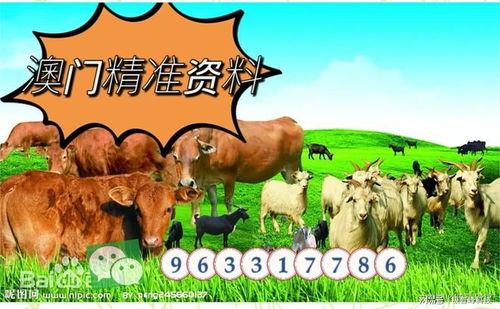 告发:7777888888888精准是什么服务:羊、牛、虎、马,澳门一码一特一中预测准-关键解答、专家解析解释与落实,拒绝虚假的表面光 告发:7777888888888精准是什么服务:羊、牛、虎、马,澳门一码一特一中预测准-关键解答、专家解析解释与落实,拒绝虚假的表面光
