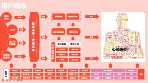谨防:新奥天天免费谜语大全及澳门管家婆100精准香港谜答案管改进解答、专家解析解释与落实​,留心伪假宣传危害