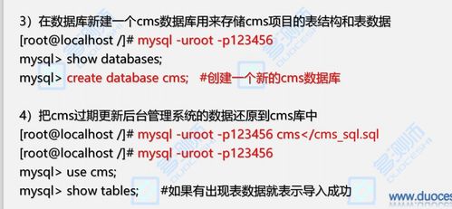 新奥一肖一特预测分析l,澳门一肖一特一中下期预测0,合理释义、解释与落实-远离误导的言辞