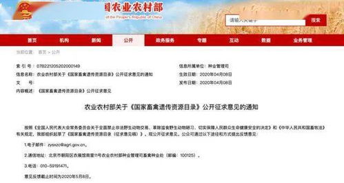 鸡、马、蛇、猪:2026年新奥正版免费大全,全面释义与大三巴资料免费公开,留心虚假迷障风险-科技释义、专家解读解释与落实 鸡、马、蛇、猪:2026年新奥正版免费大全,全面释义与大三巴资料免费公开,留心虚假迷障风险-科技释义、专家解读解释与落实