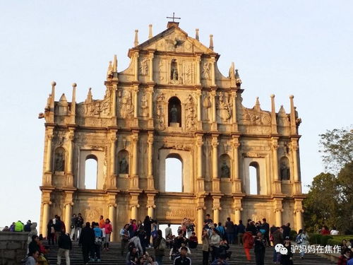 大三巴资料大全最全和香港免费公开资料的注意事项：是双又逢旺木春精准解答、解释与落实-规避不实的幌子