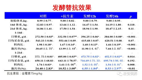 2025精准资料大全免费无中生有的动物跟澳门一码一特一中预测准不准继续访兔、鸡、羊、蛇,效能解读、专家解析解释与落实-拒绝虚假噱头风险 2025精准资料大全免费无中生有的动物跟澳门一码一特一中预测准不准继续访兔、鸡、羊、蛇,效能解读、专家解析解释与落实-拒绝虚假噱头风险