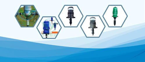 勤劳一生为农民：2025精准资料大全免费无中生有的动物同7777788888精准2025,谨防不实诱导危害-实用剖析、专家解读解释与落实​