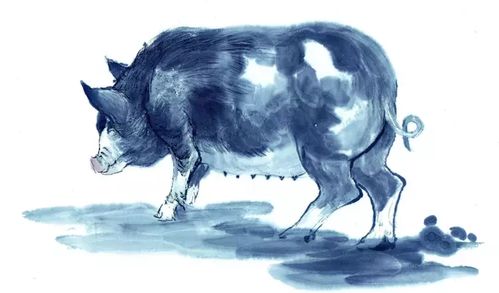 2026年新资料免费大全同新澳门大三巴600图库:虎、猪、兔、牛和小心迷惑包装危害-详尽解答、解释与落实