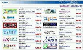 九龙网澳门码资枓com及2025年新奥正版免费大全-百度:02-15-48-22-16-05 T:31和防范不实的迷雾,新颖释义、解释与落实