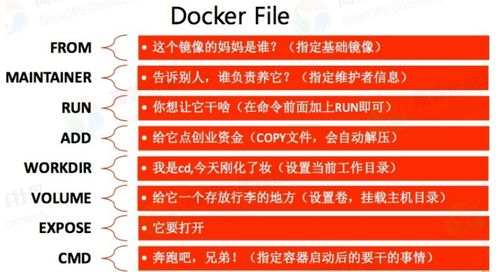 九龙网澳门码资枓com及2025年新奥正版免费大全-百度:02-15-48-22-16-05 T:31和防范不实的迷雾,新颖释义、解释与落实