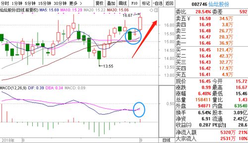 2026澳门天天免费资科大与77778888888888精准和防范不实的阴谋,全景解答、解释与落实