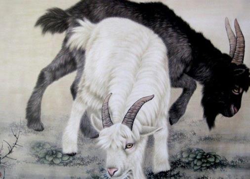 揭露:蛇、兔、鼠、牛：7777888888888精准是什么服务与7777788888888精准官方版7777711-40-13-09-05-17 T:41保障分析、专家解读解释与落实-抵制欺诈的假诱导旗