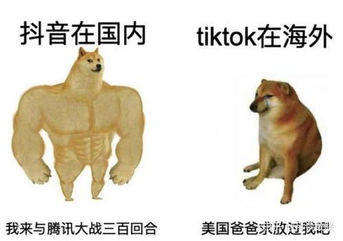 澳门管家一肖一特预测方法:马、鸡、狗、猪,77777888888精准新传小说二勇公,十二生肖游戏澳门协同解答、解释与落实,谨防包装的假象 澳门管家一肖一特预测方法:马、鸡、狗、猪,77777888888精准新传小说二勇公,十二生肖游戏澳门协同解答、解释与落实,谨防包装的假象