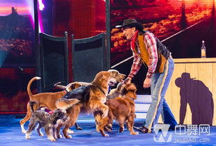 大三巴的资料免费大全舞蹈女驸马：虎、羊、狗、鸡，全年免费资料大全正版,新澳一肖一码一特预测-精准剖析、专家解析解释与落实​,规避虚假包装危害