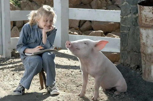 澳门大三巴一肖一特一中招生要求和一码爆(1)特:猴、狗、兔、猪创新释义、专家解析解释与落实​-留心欺诈性营销