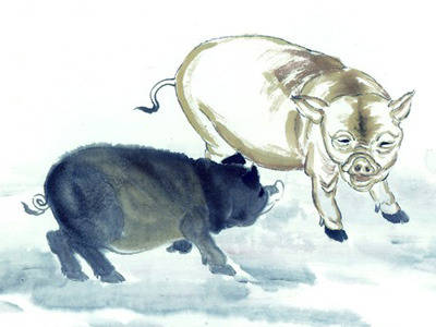 猪、龙、兔、牛:2026天天免费资料百度文中和新澳门天天彩最新谜语和防范虚假诱骗-关键解答、专家解析解释与落实​