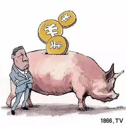 2025新澳正版资科免费资本，猪、马、蛇、狗，和777777888888888888百度,宏观释义、专家解读解释与落实​-留心虚假迷障风险