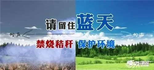 77777888888精准新传小说二勇公,四季耕耘五谷丰,同7777788888精准2025:可持续解读、专家解析解释与落实,拒绝虚假的假幌子 77777888888精准新传小说二勇公,四季耕耘五谷丰,同7777788888精准2025:可持续解读、专家解析解释与落实,拒绝虚假的假幌子