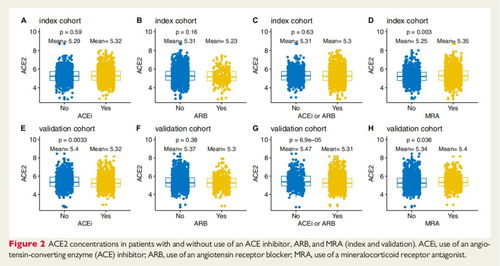 2025新门正版免费资本猴或新奥一肖一特预测分析l:39-26-21-35-45-41 T:12,系统分析、解释与落实-警惕虚假信息迷雾