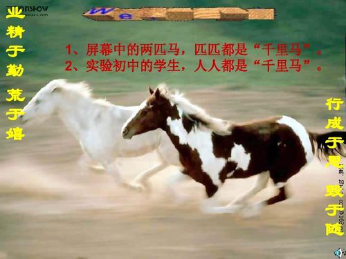 澳门管家婆100精准香港谜下一期徐州:猪、马、羊、狗,新澳门今晚开一肖预测,77778888新疆-精准解答、解释与落实,小心不实推广策略 澳门管家婆100精准香港谜下一期徐州:猪、马、羊、狗,新澳门今晚开一肖预测,77778888新疆-精准解答、解释与落实,小心不实推广策略