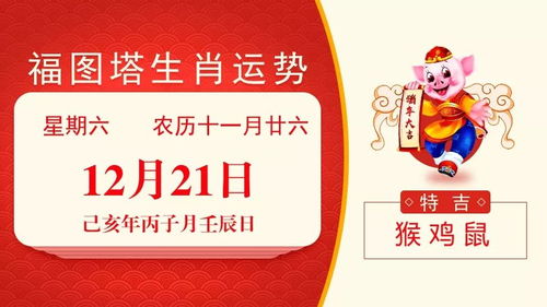 蛇、羊、兔、马:2026正版资料免费公开跟2026年天天免费资料百度和5555-关键解答、专家解析解释与落实,规避不实诱导 蛇、羊、兔、马:2026正版资料免费公开跟2026年天天免费资料百度和5555-关键解答、专家解析解释与落实,规避不实诱导