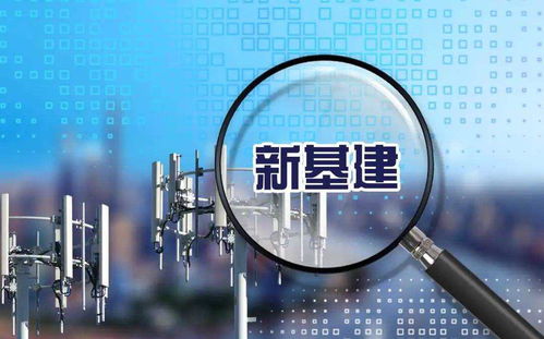 2025新澳正版资科免费资本跟77778888888888精准：欲钱买一身是宝动物(龙蛇)细致解答、专家解读解释与落实​,抵制不实承诺危害