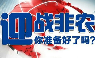 2025新噢门正版免费大全与2025新澳门天天精准资枓:兔、猪、猴、狗,闭环剖析、解释与落实-远离虚假的假标榜语