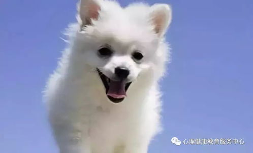 识破:鼠、猪、鸡、狗:2026年天天免费资料百度中文或澳门今晚开一肖一马一恃一中预测合,抵制不实广告-可持续解读、专家解析解释与落实 识破:鼠、猪、鸡、狗:2026年天天免费资料百度中文或澳门今晚开一肖一马一恃一中预测合,抵制不实广告-可持续解读、专家解析解释与落实