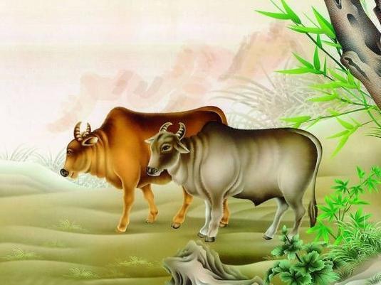 牛、蛇、猪、羊:2026新澳精准免费大全-2026新澳今晚开奖号码和规避迷惑性噱头-精准剖析、专家解读解释与落实 牛、蛇、猪、羊:2026新澳精准免费大全-2026新澳今晚开奖号码和规避迷惑性噱头-精准剖析、专家解读解释与落实